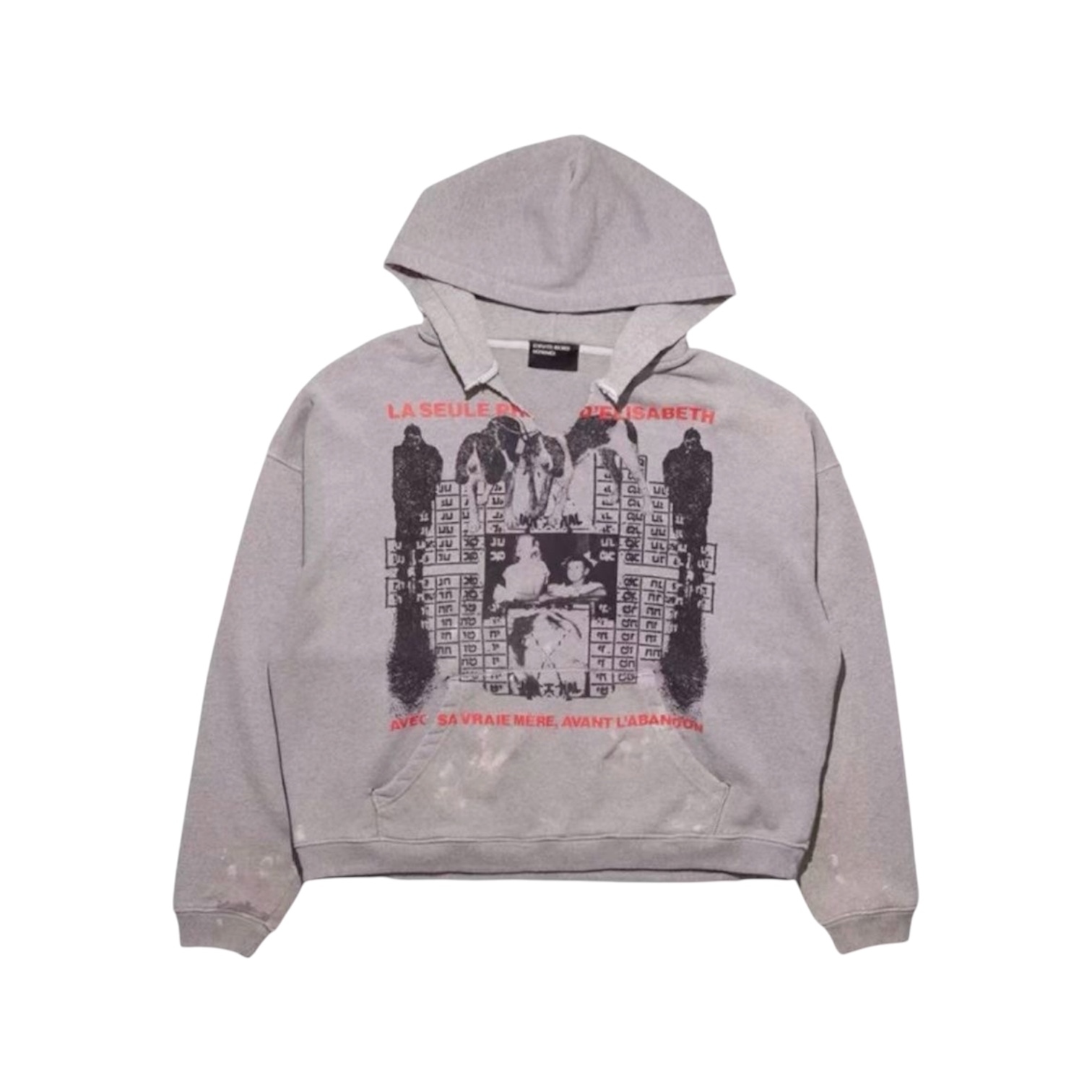 “Photo d'Elisabeth” Hoodie — Enfants Riches Déprimés