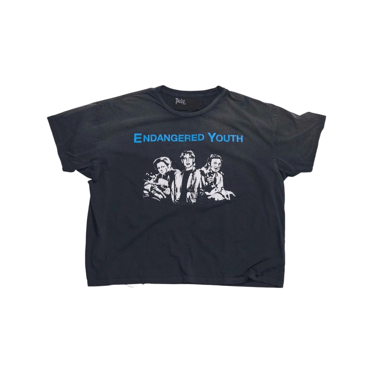 “Endangered Youth” Tee — Paly Hollywood